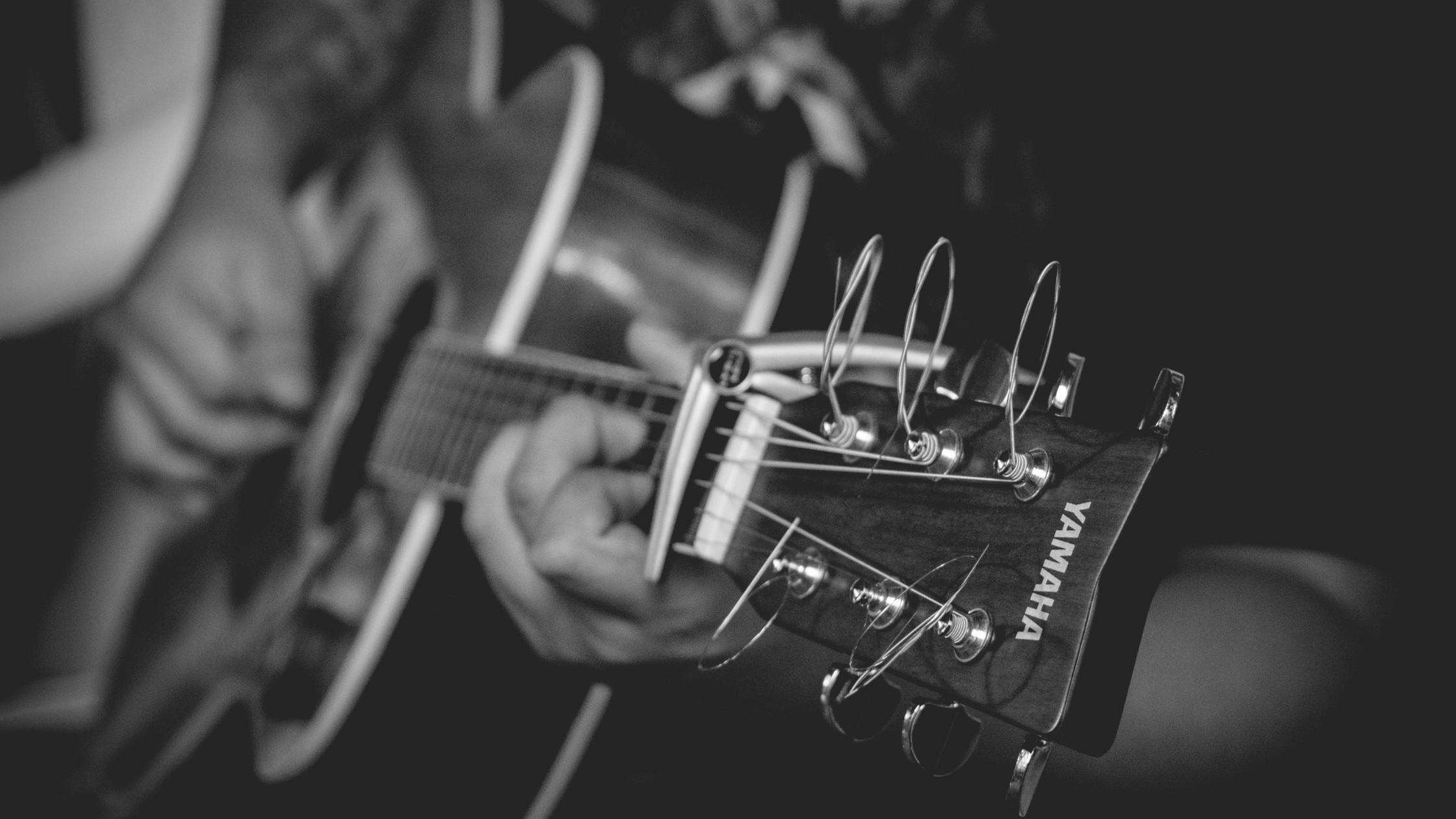 Shows Green Guitar Folk House